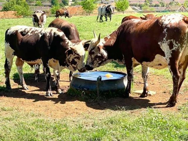 Land for sale in Umgungundlovu, Kwazulu-natal