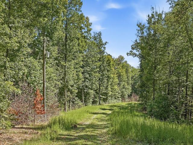 House for sale in Gainesboro, Middle Tennessee