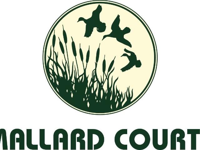 Apartment for rent in Mount Vernon, Virginia