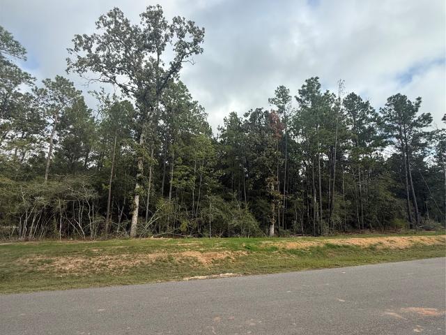 Land for sale in Montgomery, Montgomery County