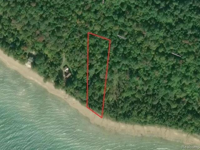 Land for sale in Moran, Michigan