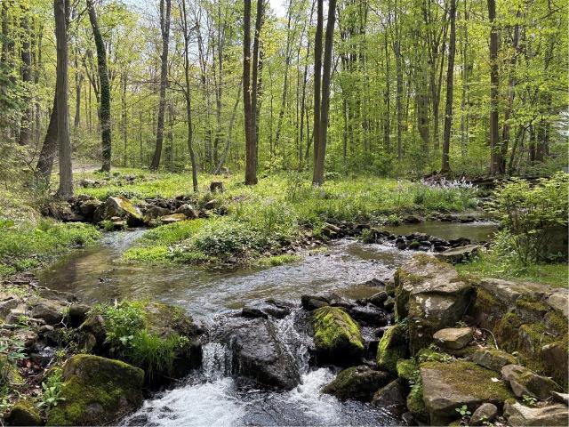 House for sale in Myersbrook, Donegal Township
