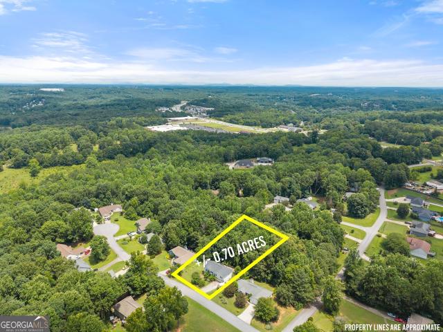 House for sale in Flowery Branch, Georgia