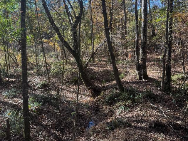 Land for sale in West Point, Georgia