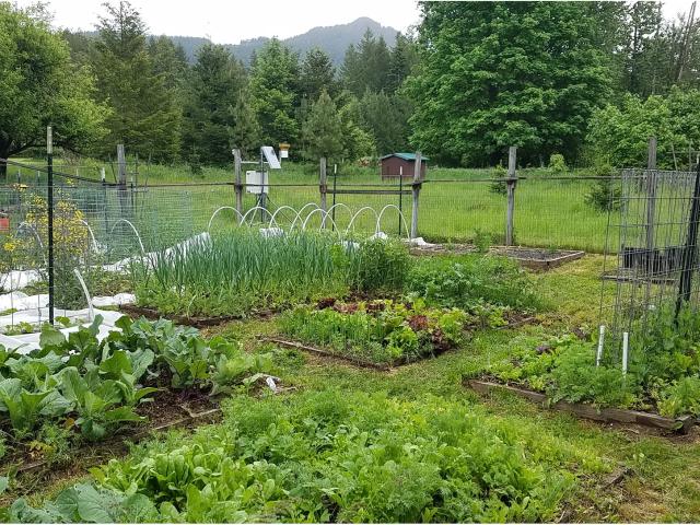 House for sale in Carson, Washington