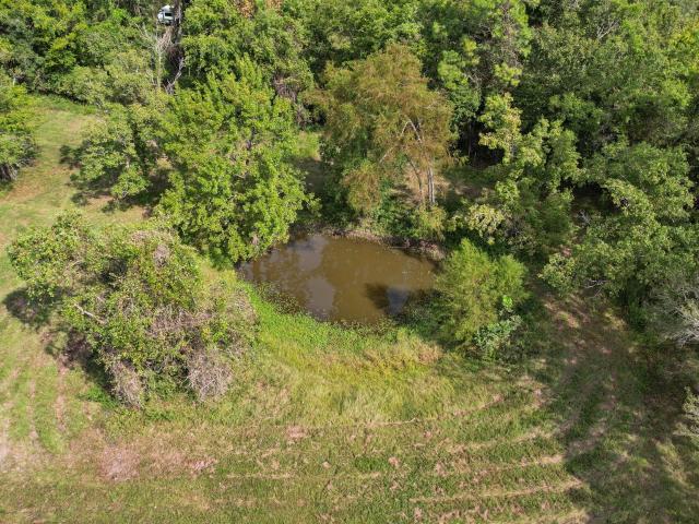 House for sale in Shepherd, San Jacinto County