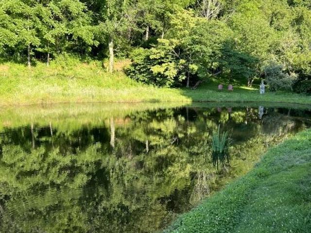 House for sale in Heaton Creek, Roan Mountain