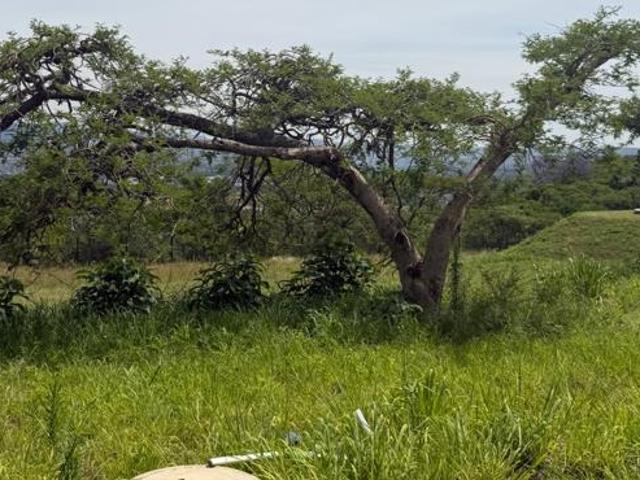 Land for sale in Pietermaritzburg, Msunduzi Local Municipality