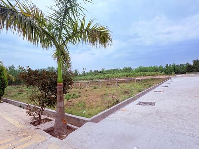 Land for sale in Kedarpur, Uttarakhand
