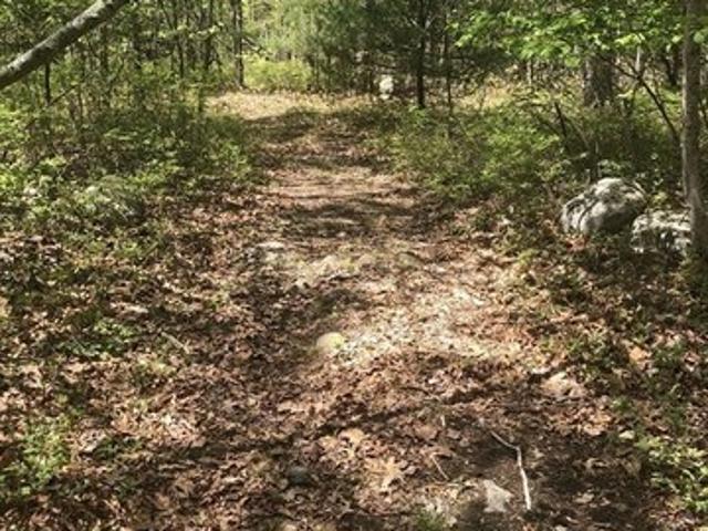 Land for sale in Bristol, Massachusetts