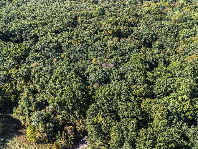 Land for sale in Michigan