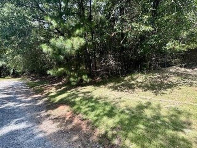 Land for sale in Box Springs, Georgia