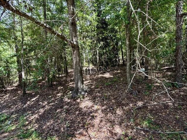 Land for sale in Box Springs, Georgia