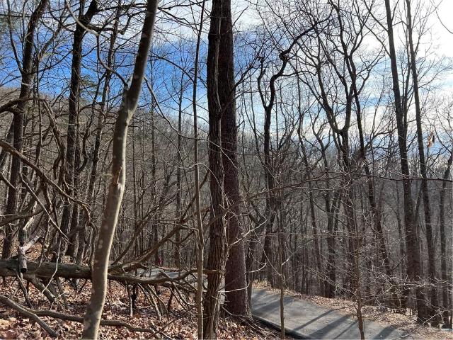 Land for sale in Jasper, Pickens County