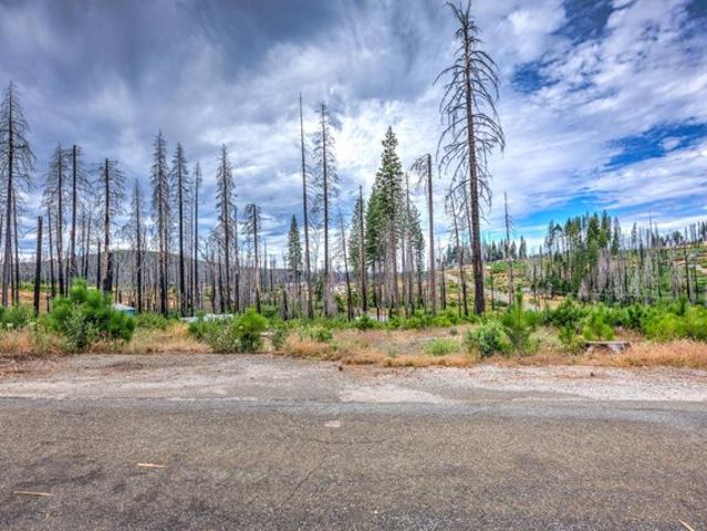 Land for sale in Grizzly Flats, California