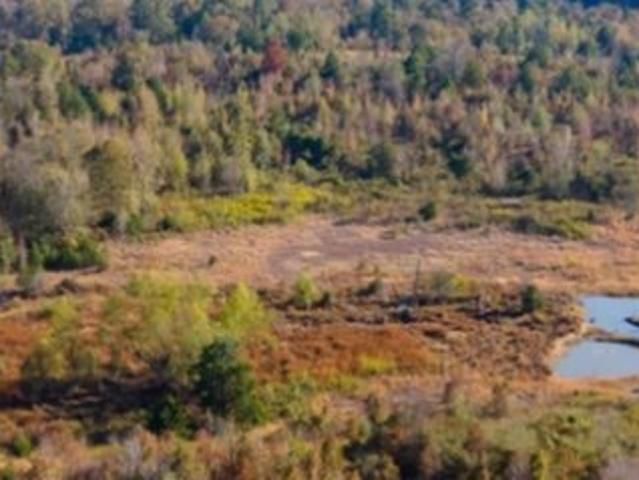 Land for sale in Ark