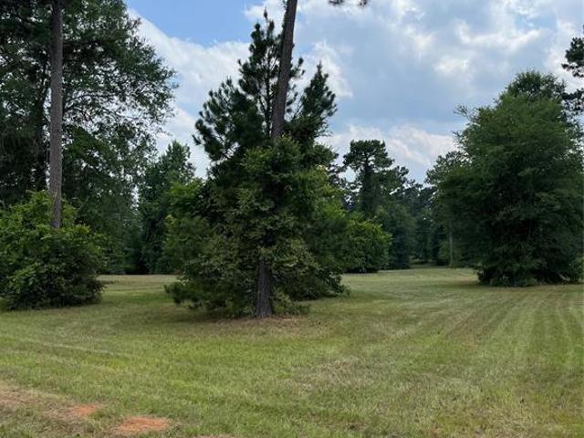 Land for sale in Hemphill