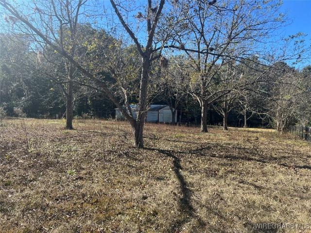 Land for sale in Andalusia, Alabama