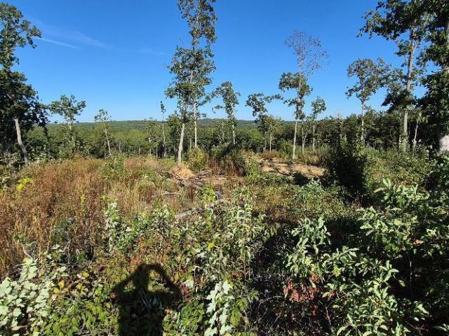 Land for sale in Graysville, Middle Tennessee