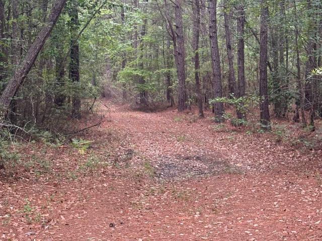 Land for sale in South Carolina