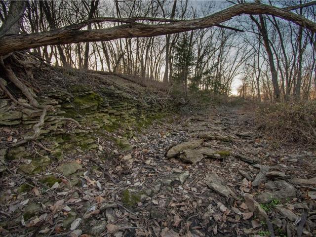 House for sale in Ray, Missouri