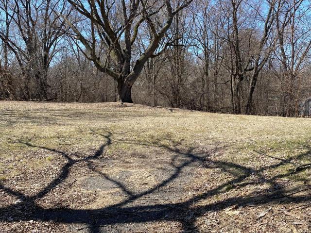 Land for sale in Minnetonka