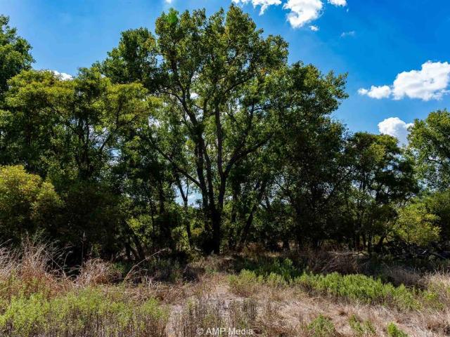 Land for sale in Rule, Texas
