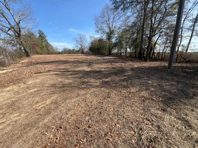 Land for sale in Millen, Georgia