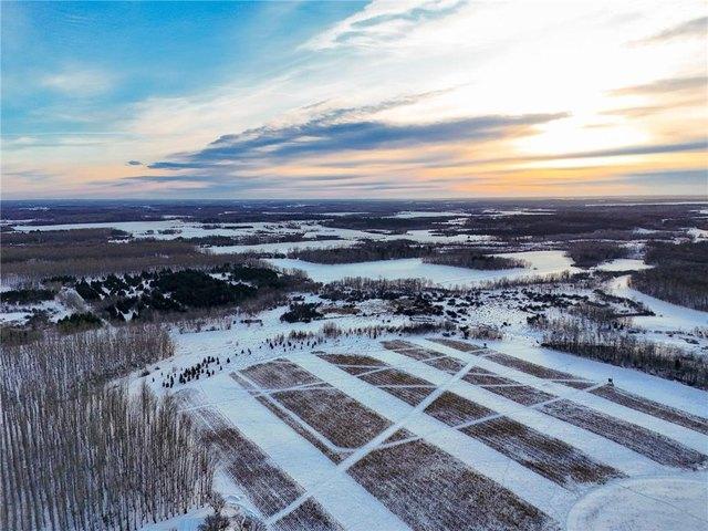 Land for sale in New York Mills, Minnesota