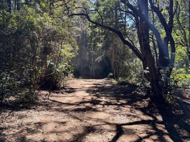 Land for sale in Point Arena, California