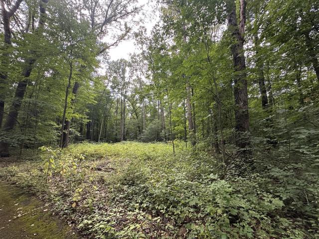 Land for sale in Michigan