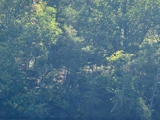 Land for sale in Hollywood, Maryland