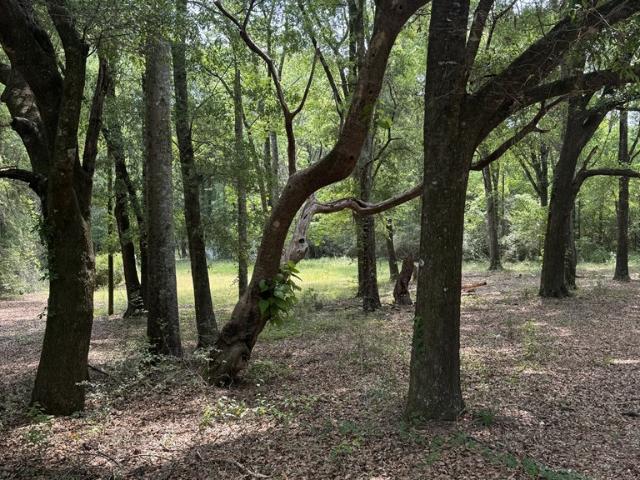 Land for sale in Geneva, Alabama