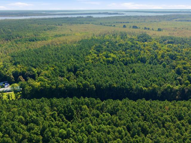 Land for sale in Columbia, North Carolina