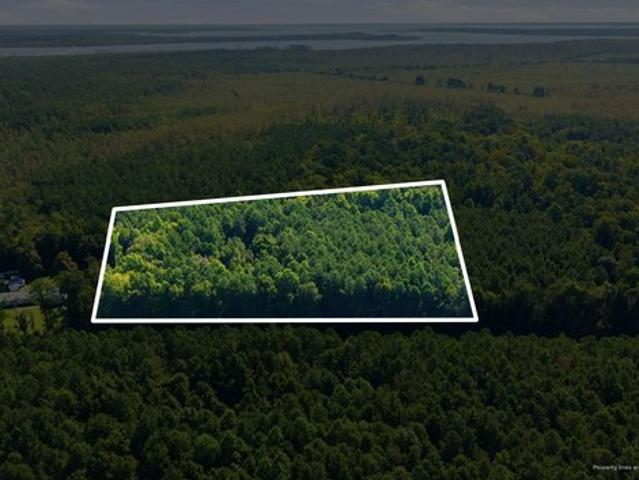 Land for sale in Columbia, North Carolina