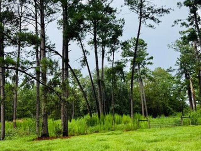 Land for sale in Lowndes, Georgia