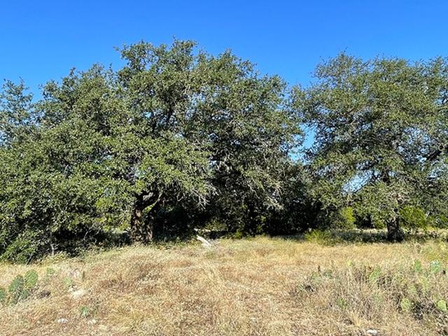 Land for sale in Burnet, Texas
