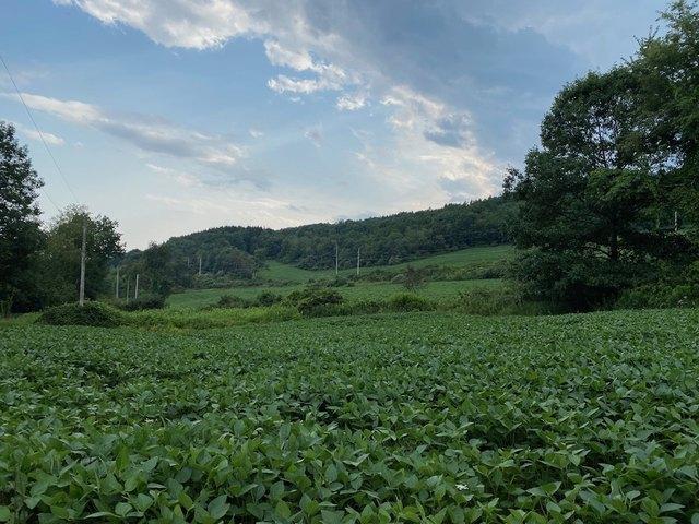 House for sale in Pine Plains, New York