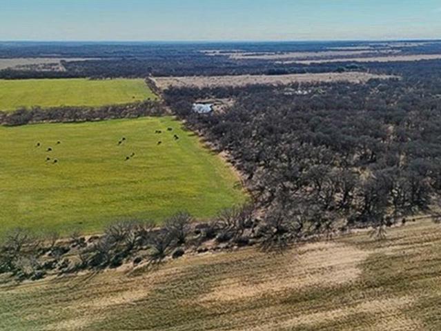 Land for sale in Gorman, Texas