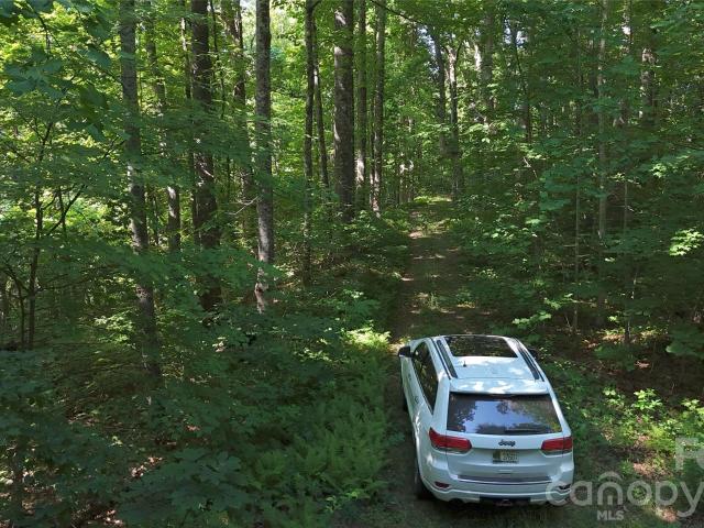 Land for sale in Black Mountain, North Carolina