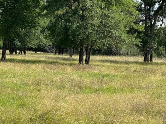 Land for sale in Whitney, Texas