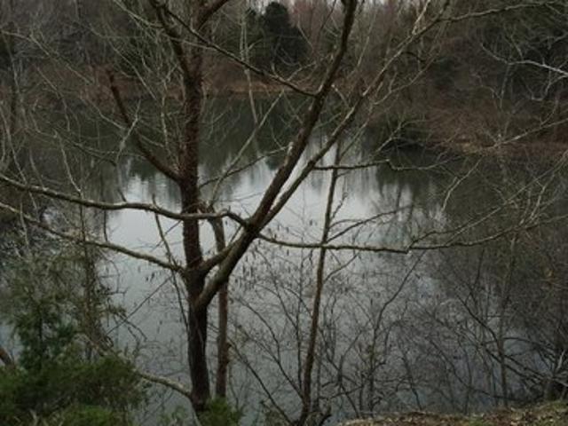 Land for sale in Dawson Springs, Kentucky