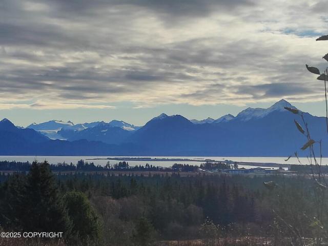 Land for sale in Homer