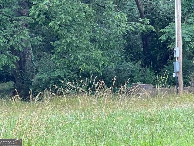 Land for sale in Georgia
