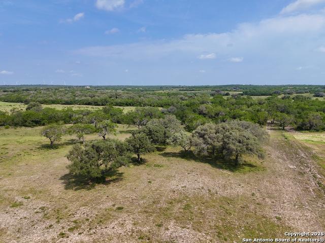Farm for sale in Bee, Texas