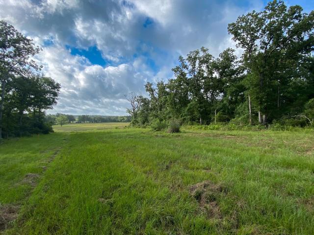 Land for sale in Leon, Texas