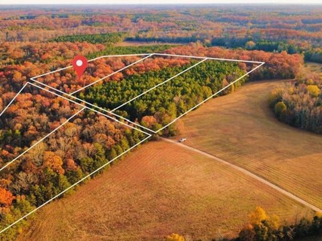 Land for sale in Donalds, South Carolina