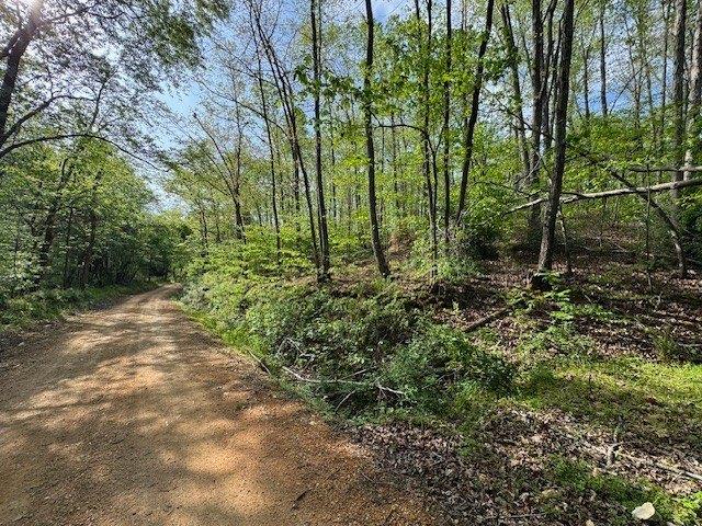 Land for sale in Tennessee