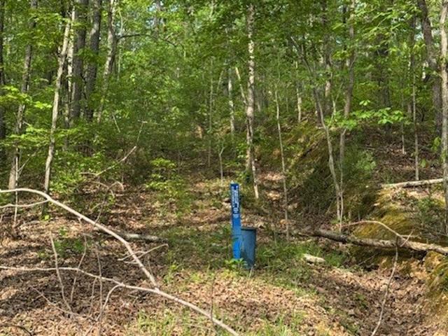 Land for sale in Tennessee