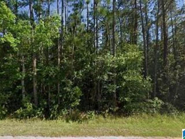 Land for sale in Springville, Alabama